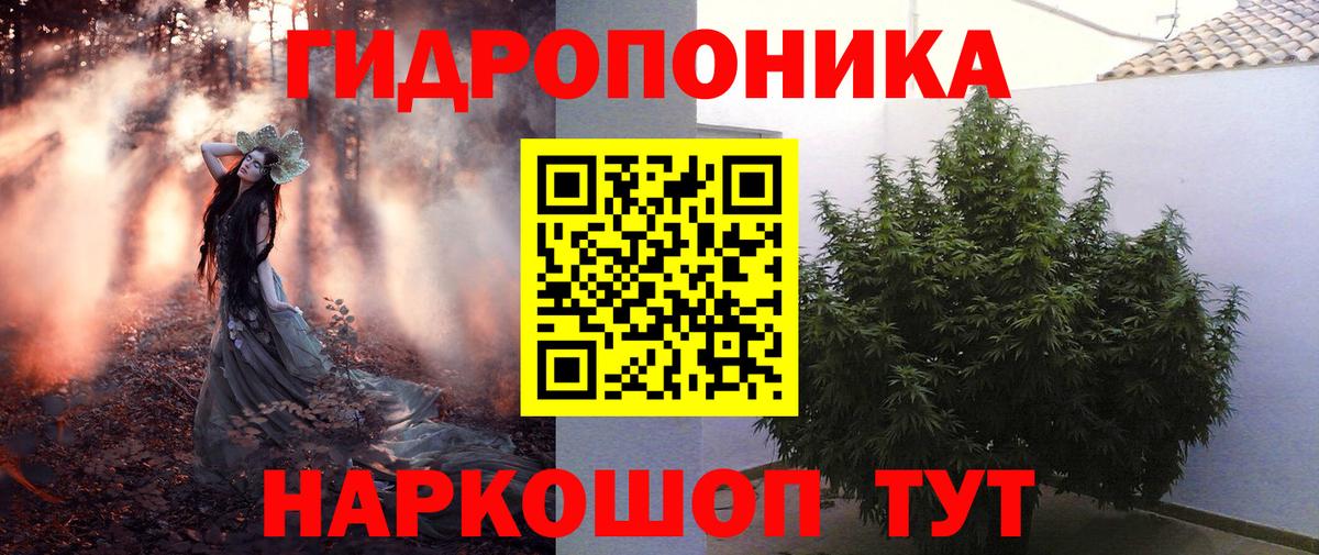 Шишки марихуана гибрид Лосино-Петровский