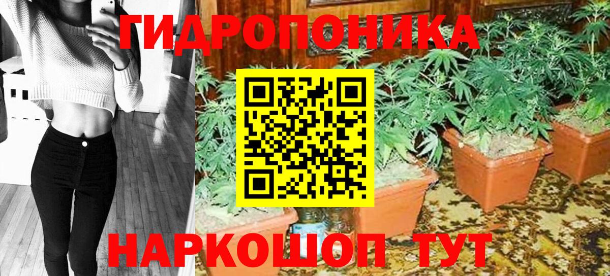 Лосино-Петровский  Бошки марихуана Ganja  Шишки марихуана план  Вход с VPN  Бошки марихуана марихуана  Марихуана план 